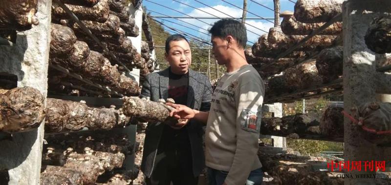 lushi3.jpg lushi3.jpg