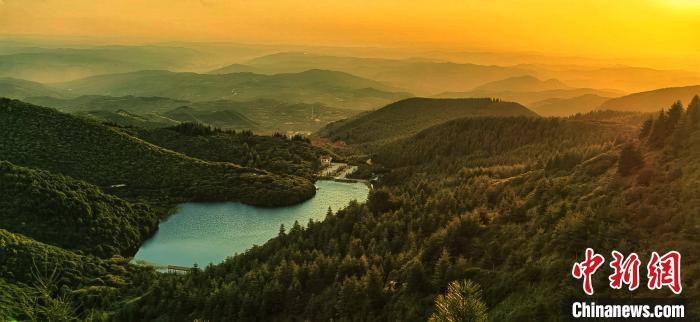 黃土高原“林海”護林員:“行走的綠色”越來越大