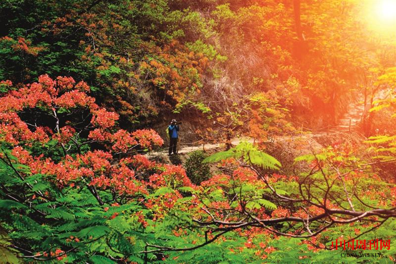 微信截圖_20221013143118.png 微信截圖_20221013143118.png