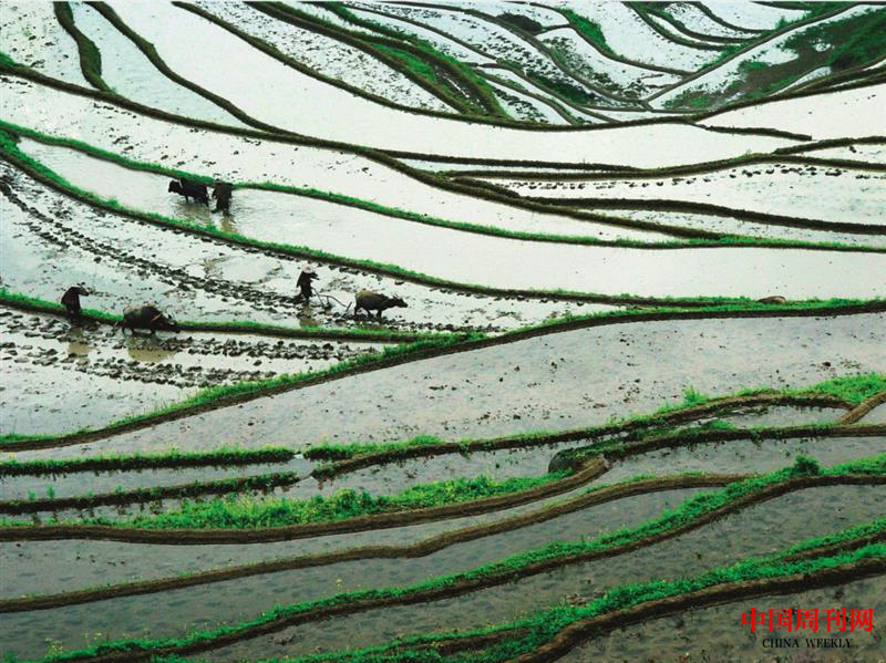 微信截圖_20221013143506.png 微信截圖_20221013143506.png