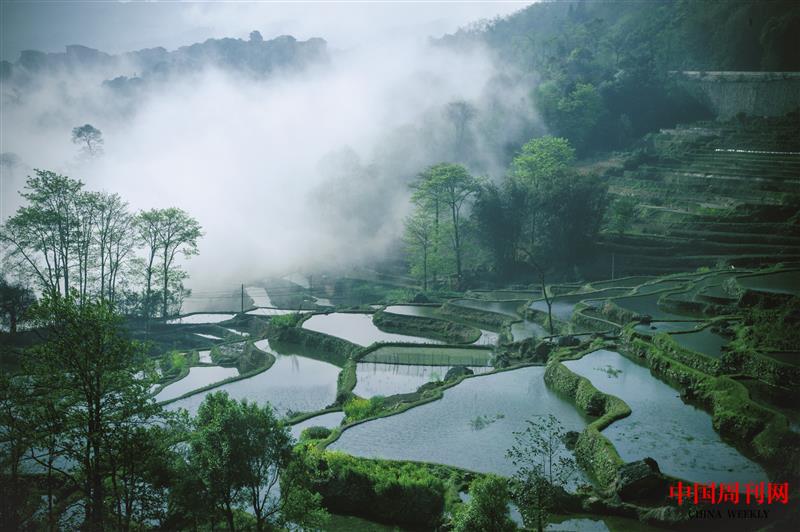 攝圖網(wǎng)_500342884_云南梯田(企業(yè)商用).jpg 攝圖網(wǎng)_500342884_云南梯田(企業(yè)商用).jpg