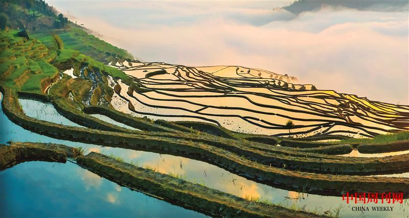 世界遺產(chǎn)--紅河哈尼梯田.jpg 世界遺產(chǎn)--紅河哈尼梯田.jpg