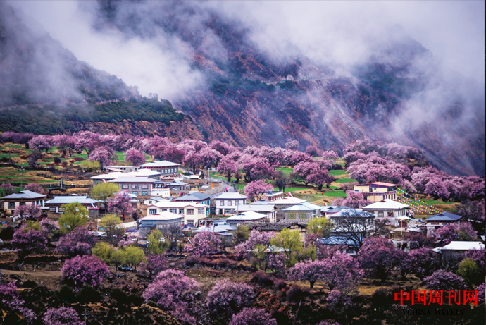 微信截圖_20230317104808.png 微信截圖_20230317104808.png