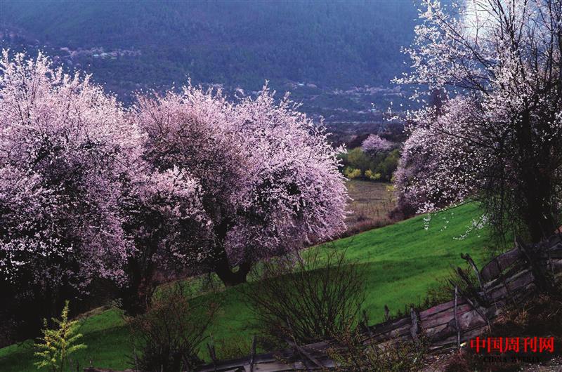 直白村美景.jpg 直白村美景.jpg