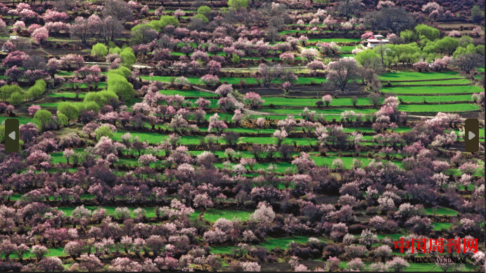 微信截圖_20230317105343.png 微信截圖_20230317105343.png