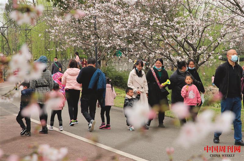 眉山之春賞櫻人.jpg 眉山之春賞櫻人.jpg