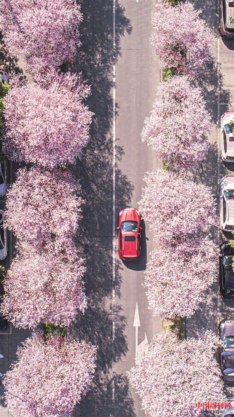 眉山城區大雅街.jpg 眉山城區大雅街.jpg