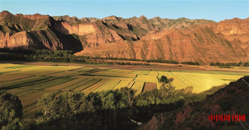 CT4855.jpg CT4855.jpg