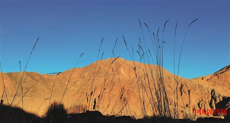 YN1245.jpg YN1245.jpg