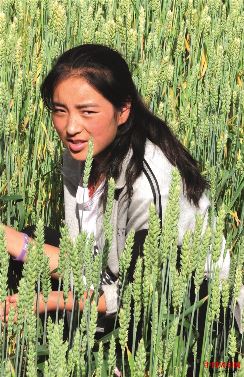 CT3987.jpg CT3987.jpg