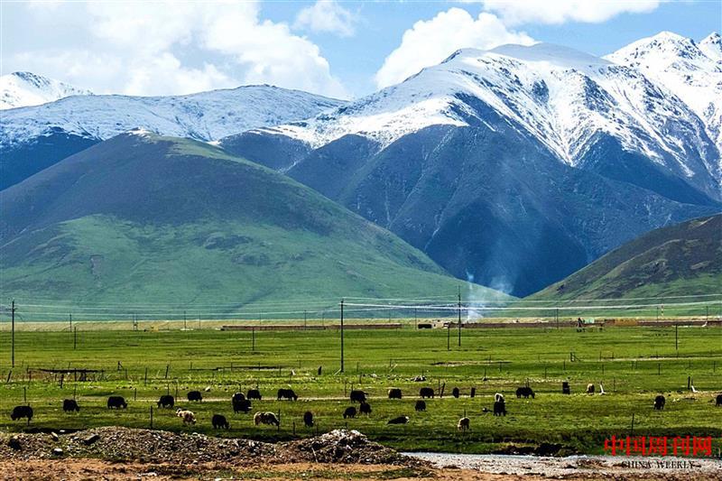 雪山牧場.jpg 雪山牧場.jpg