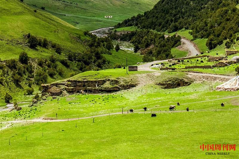 綠色牧場.jpg 綠色牧場.jpg