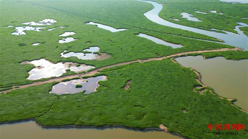 鄱陽湖濕地鳥瞰.jpg 鄱陽湖濕地鳥瞰.jpg