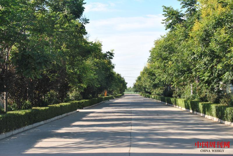 村道2.jpg 村道2.jpg