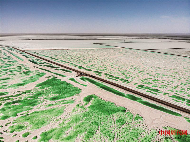 攝圖網_501712818_青海茫崖翡翠湖網紅打卡地(企業商用).jpg 攝圖網_501712818_青海茫崖翡翠湖網紅打卡地(企業商用).jpg