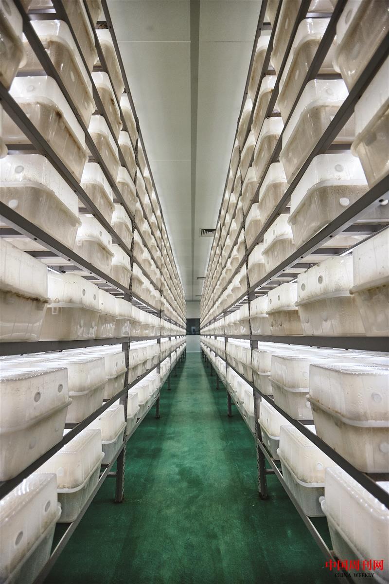 790F0365.jpg 790F0365.jpg