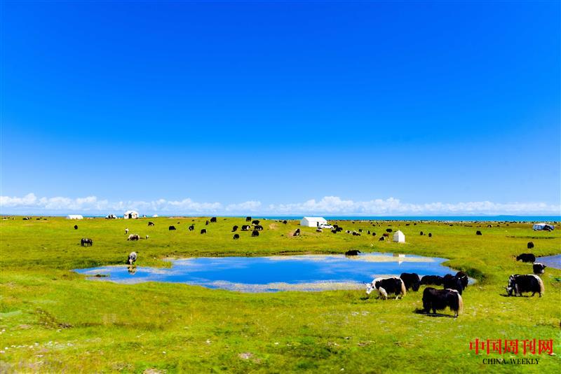 攝圖網(wǎng)_501661784_青海湖畔(企業(yè)商用).jpg 攝圖網(wǎng)_501661784_青海湖畔(企業(yè)商用).jpg