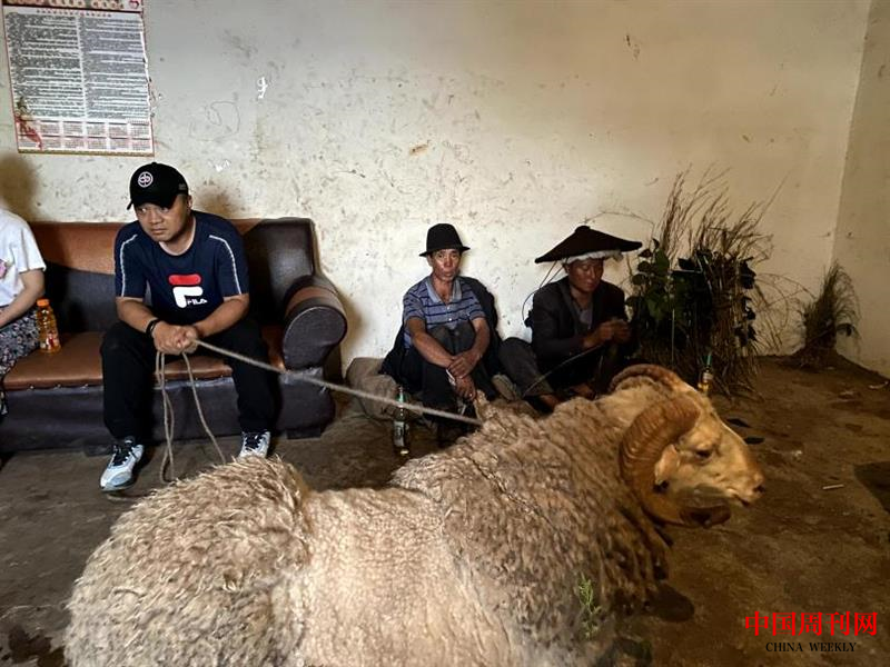 圖片 31.png 圖片 31.png