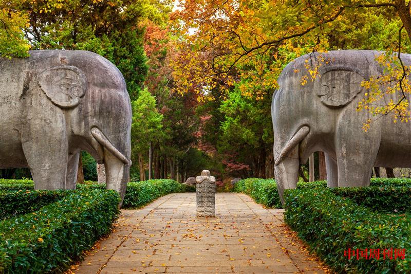 攝圖網(wǎng)_501678617_南京明孝陵石像路神道秋色(企業(yè)商用).jpg 攝圖網(wǎng)_501678617_南京明孝陵石像路神道秋色(企業(yè)商用).jpg