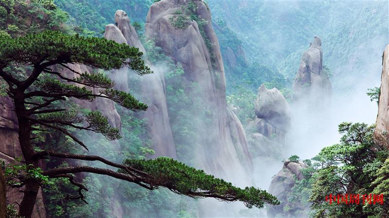 三清山迎客松.jpg 三清山迎客松.jpg