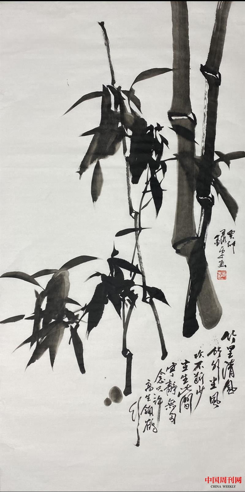 勁節拂云喚高風——趙錄平墨竹藝術漫談