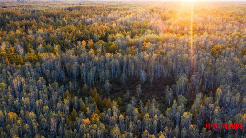 微信圖片_20250106100219.jpg 微信圖片_20250106100219.jpg