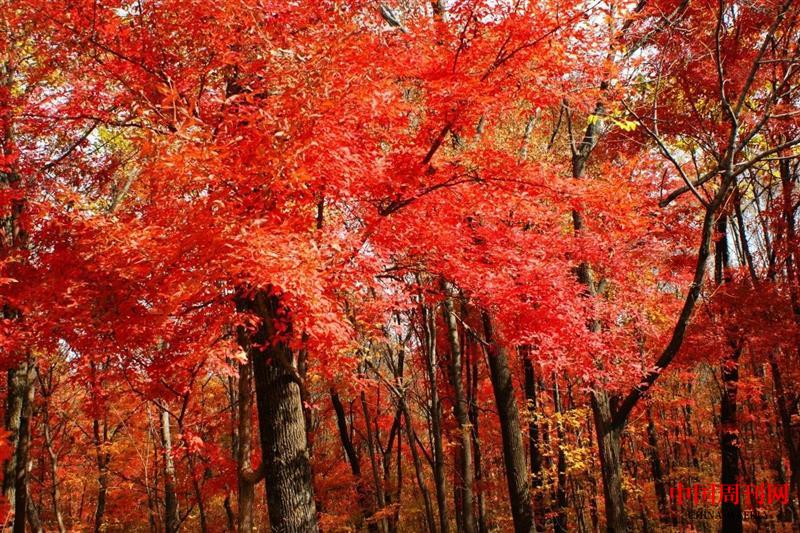 微信圖片_20250106100222.jpg 微信圖片_20250106100222.jpg