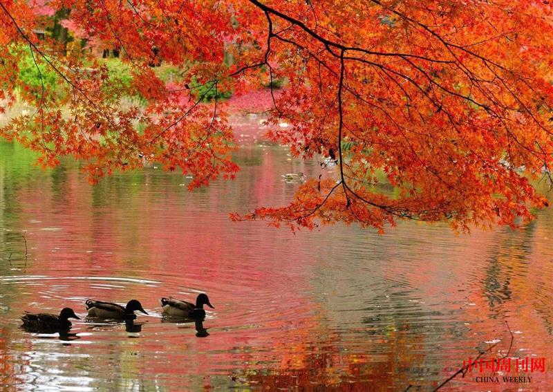 微信圖片_20250106100225.jpg 微信圖片_20250106100225.jpg