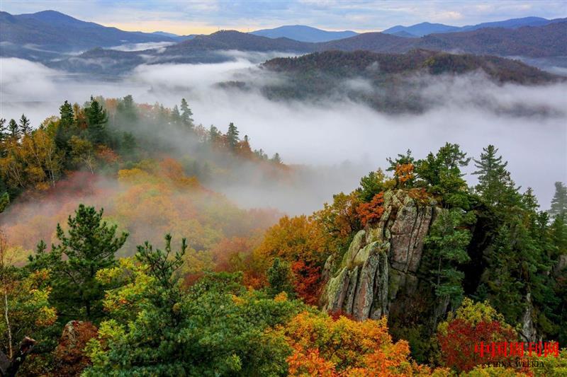 微信圖片_20250106100234.jpg 微信圖片_20250106100234.jpg