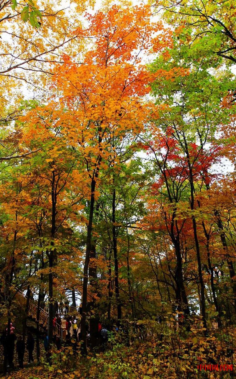 微信圖片_20250106100238.jpg 微信圖片_20250106100238.jpg