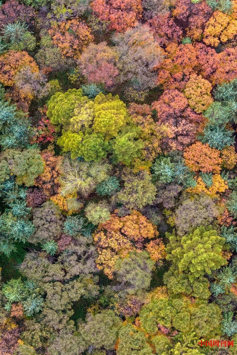 微信圖片_20250106100243.jpg 微信圖片_20250106100243.jpg