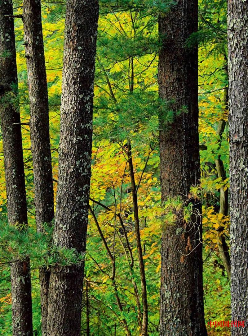 微信圖片_20250106100249.jpg 微信圖片_20250106100249.jpg