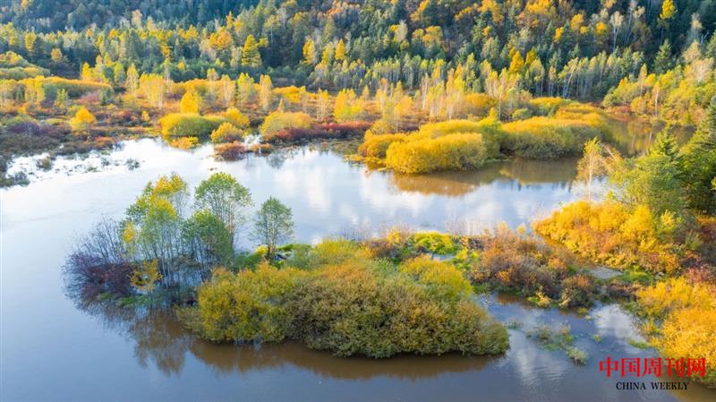 微信圖片_20250106100256.jpg 微信圖片_20250106100256.jpg