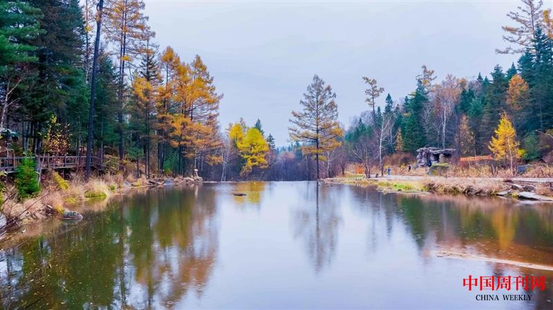 微信圖片_20250106100304.jpg 微信圖片_20250106100304.jpg