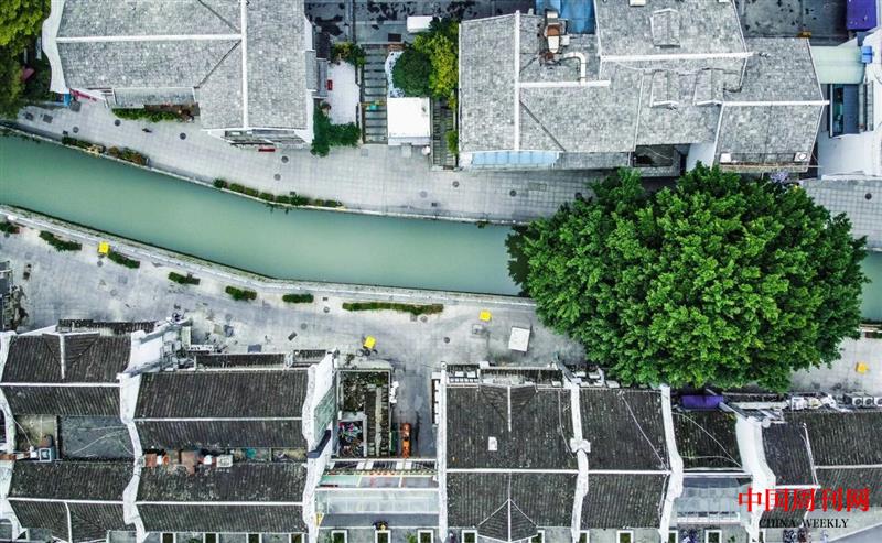 微信圖片_20250106104919.jpg 微信圖片_20250106104919.jpg