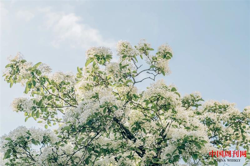 微信圖片_20250106104930.jpg 微信圖片_20250106104930.jpg