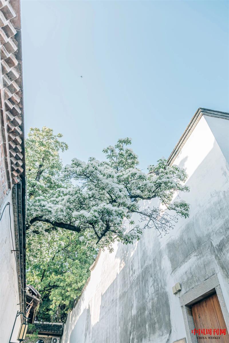 微信圖片_20250106104936.jpg 微信圖片_20250106104936.jpg