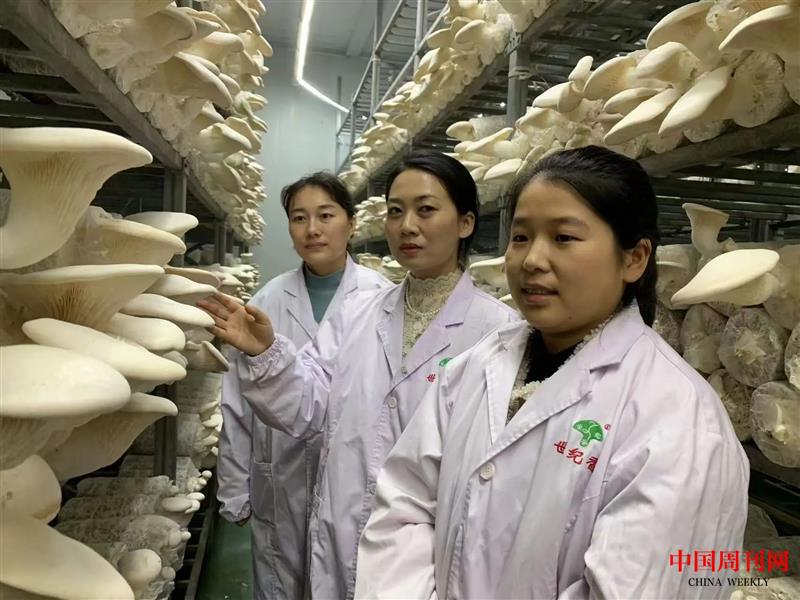 微信圖片_20250106110309.jpg 微信圖片_20250106110309.jpg