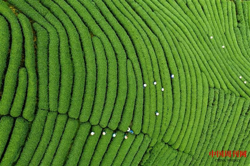 微信圖片_20250106145048.jpg 微信圖片_20250106145048.jpg