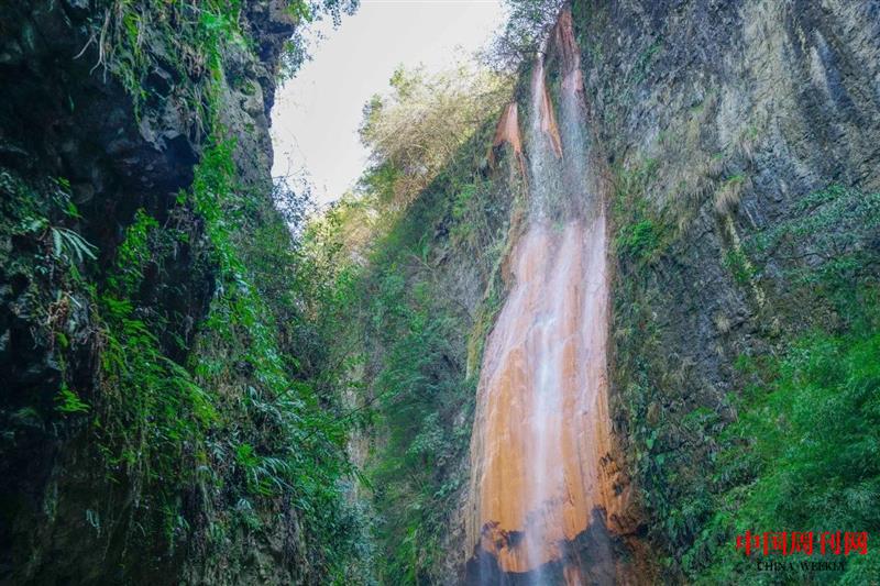 微信圖片_20250514134903.jpg 微信圖片_20250514134903.jpg