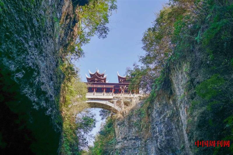 微信圖片_20250514134906.jpg 微信圖片_20250514134906.jpg