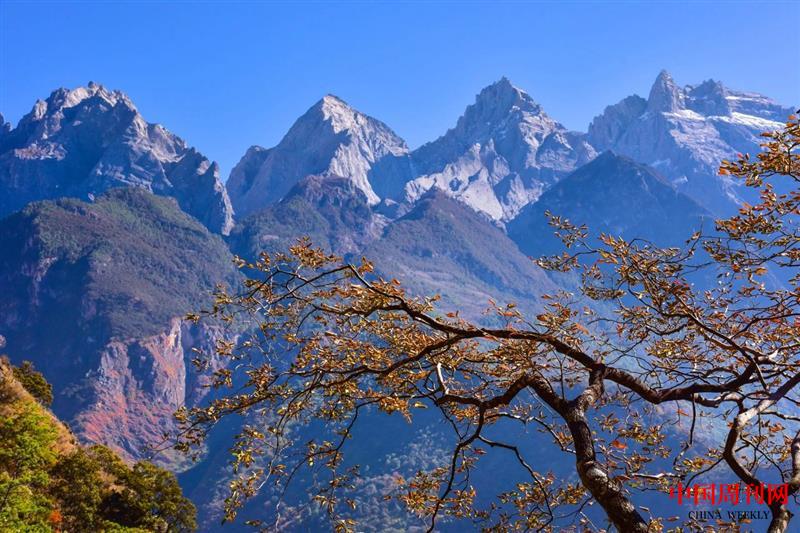 微信圖片_20250514135231.jpg 微信圖片_20250514135231.jpg