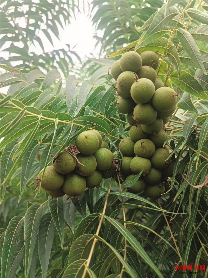 52efcfabf740889eb14373139190a469.jpg 52efcfabf740889eb14373139190a469.jpg